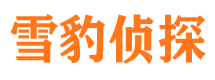 高邮市调查公司